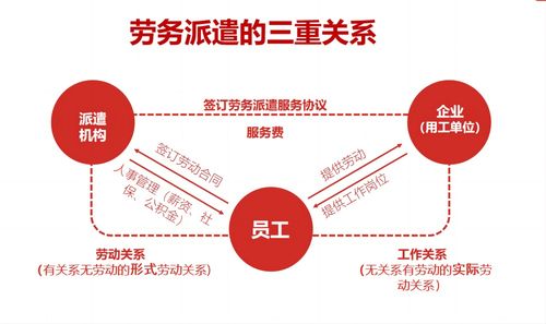 劳务派遣工被用工单位退回,应向谁主张经济补偿或赔偿